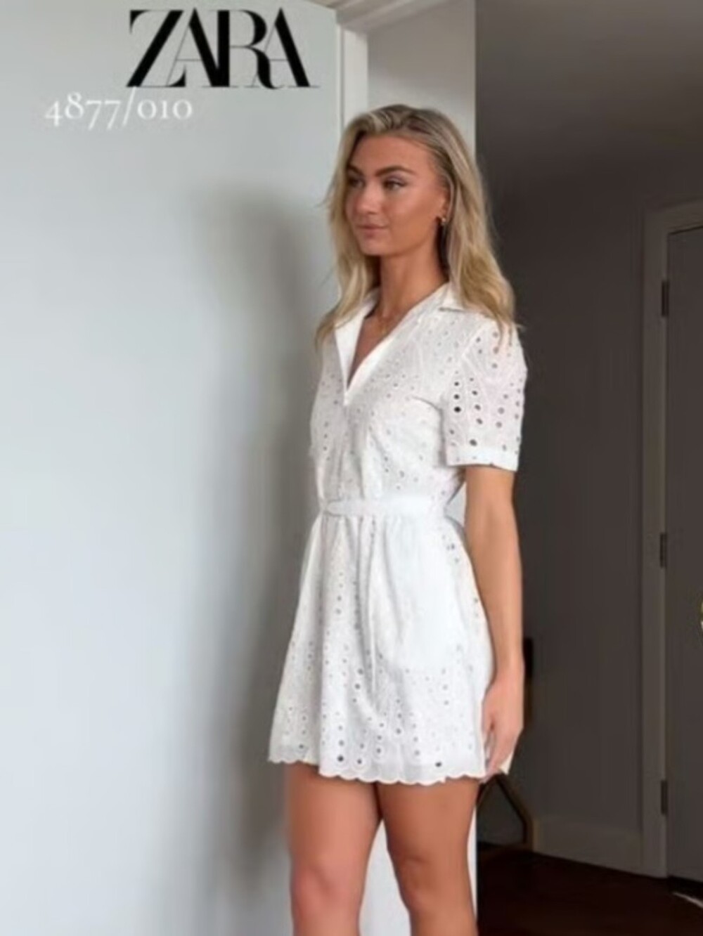 ZARA Eyelet Mini Dress